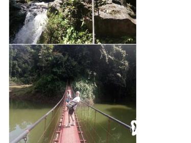 5D4N Tour in Cameron Highlands - Belum Rainforest - Penang drop off
