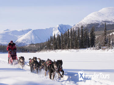 5-Day Active Winter Adventure in Yukon