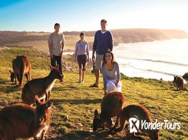 5-Day Adelaide and Kangaroo Island Tour Including Barossa Valley Wine Tasting