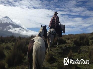 5-Day Adventure in The Andes and the Amazon from Quito