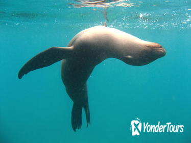 5-Day Galapagos Islands Highlights Tour 5-Day Galapagos Islands Highlights Tour
