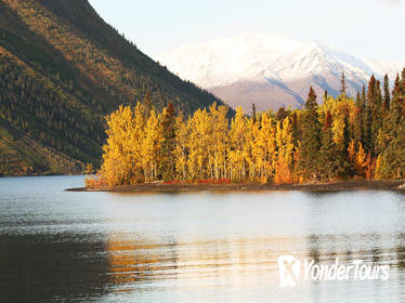 5-Day Golden Aurora Circle: Yukon and Alaska Summits