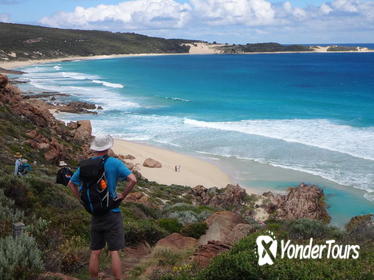 5-Day Margaret River Active Tour from Perth Including the Cape to Cape Track