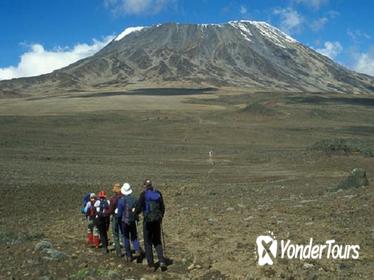 5-Day Mount Kenya Climb from Nairobi: Sirimon - Chogoria Route