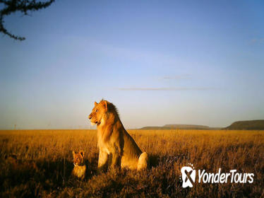 5-Day National Park Safari in Tanzania