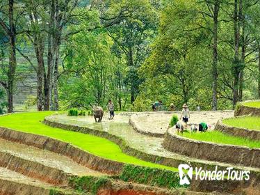 5-day Northern Vietnam: Hanoi - Ninh Binh - Sapa - Halong Bay cruise 5-day Northern Vietnam: Hanoi - Ninh Binh - Sapa - Halong Bay cruise
