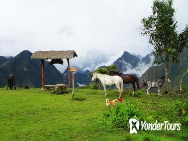 5-Day Salkantay Trail Trekking Tour from Cusco