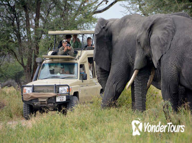 5Days Best Camping Safari in Tanzania Parks