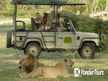 5Days Tanzania Camping Safari to Lake Manyara Serengeti And Ngorongoro Crater from Arusha