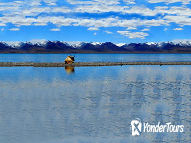 5-Night Tibet: Lhasa and Namtso Lake with Travel Permit