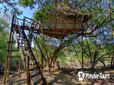 6 Day Lodge and Treehouse Kruger National Park Safari