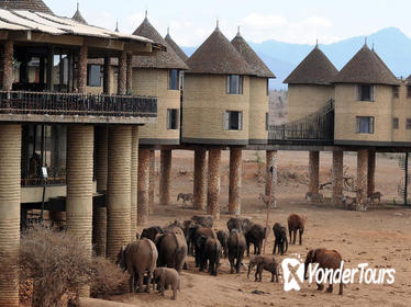 6 Days Amboseli Tsavo West Tsavo East Mombasa luxury lodge safari