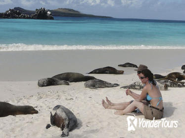 6-Day Galapagos Tour: Santa Cruz and Isabela Islands