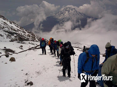 6-Day Rongai Route Trek to Kilimanjaro from Arusha with Mountain Camping