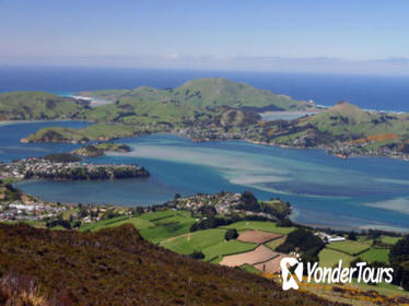 6-Day South Island Southern Heritage Tour from Christchurch