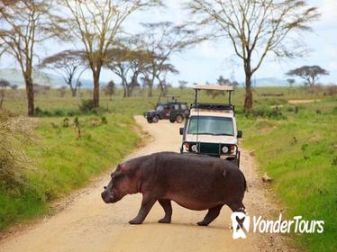 6Days Tanzania Northern Circuit Luxury Lodge Safari