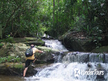 6-Hour Hike and Bike in Doi Suthep Pui National Park Combo from Chiang Mai