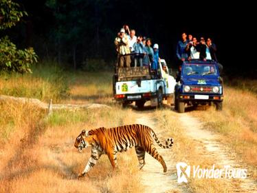 6-Night Golden Triangle Tour with Ranthambore from Delhi
