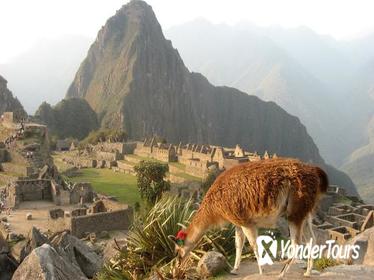 7-Day Lima and Cusco Tour with Overnight at Machu Picchu