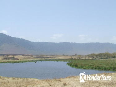 7-Day Private Tour: Lake Manyara, Serengeti, Ngorongoro and Tarangire from Arusha
