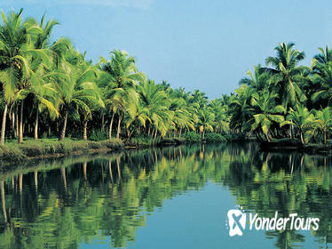 7-Day Tour: Spice Lands of Kerala from Kochi