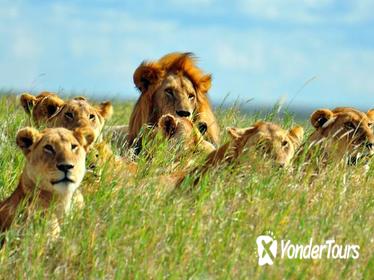7days Breathtaking Kenya Safari