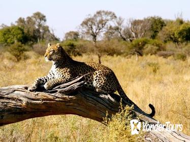 7days Magnificent Best of Kenya Wildlife Safari