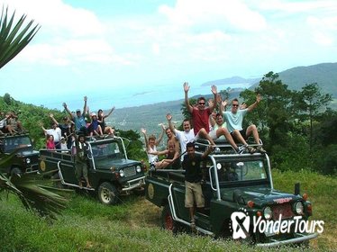 7-Hour 4WD Wild Jungle Safari Tour Including Lunch