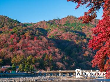 7-Hour Private Kyoto Tour: Famous Temples including Golden Pavilion & Arashiyama