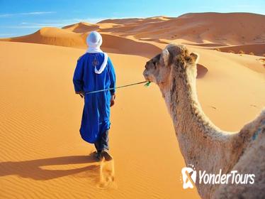 7-Night Sahara Desert Highlights Tour from Tangier 7-Night Sahara Desert Highlights Tour from Tangier