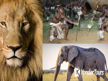 8 hour Cultural Village and Lion Park tour