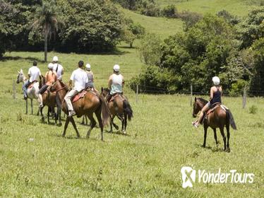 8-Day Best of Northwest Costa Rica from San Jose: Arenal Volcano National Park, Alajuela and Guanacaste