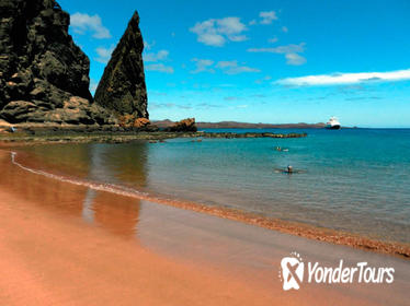 8-Day Galapagos Island Hopping Tour: Land Tour Including 4 Islands