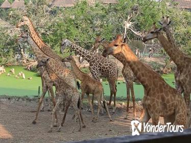 8days Discover Kenya Safari Amboseli Naivasha Nakuru and Masai Mara