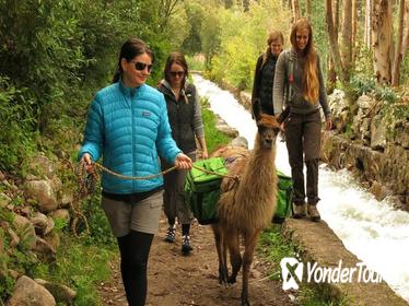 8-Night Tour to Cusco from Lima by Air: Peru Andean Living and Culture