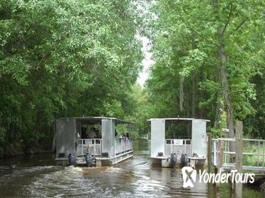 90-Minute Jean Lafitte Swamp and Bayou Tour