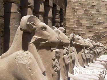 9-Night Small-Group Sands and Sea Tour from Cairo