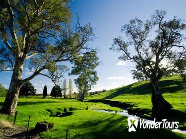 Adelaide Highlights and Hahndorf Tour with Optional River Cruise