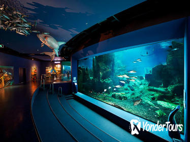 Admission Ticket to Istanbul Aquarium