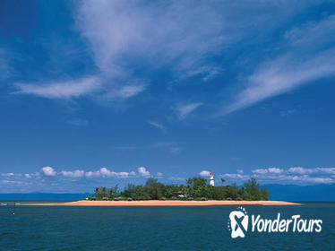 Afternoon Low Isles Snorkeling and Sailing Cruise from Port Douglas