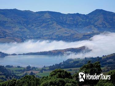 Akaroa Harbour and Banks Peninsula Eco Marine Harbour Cruise Small Group Tour