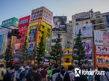 Akihabara Walking Tour with Samurai Cosplayer