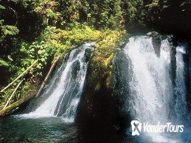 Alaskan Gold Discovery: Gold Mining and Panning at Gold Creek from Juneau