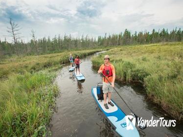 Algonquin Park Adventure Lodge 4-Day Trip