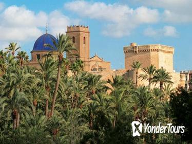 Alicante Full Day Experience Including Visit to Elche with Transfers