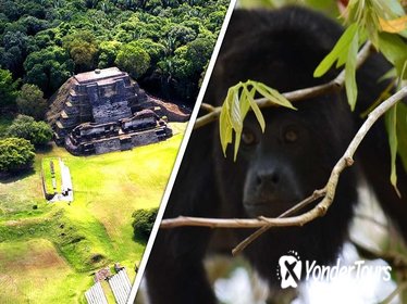 Altun Ha and Howler Monkey Sanctuary Tour