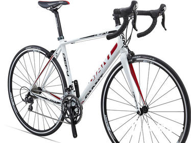 Aluminum Road Bike Rental