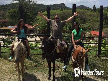 Amber Cove Excursion: Horseback Ride and Tropical Garden Tour