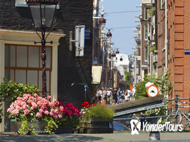 Amsterdam Pedal Boat Rental with Optional Heineken Experience