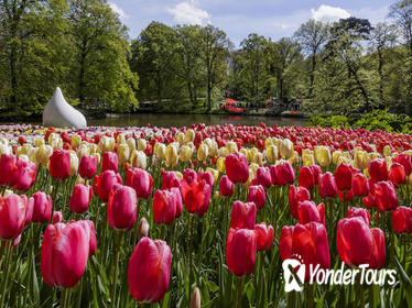 Amsterdam Shore Excursion: Keukenhof Gardens and Tulips Fields Tour